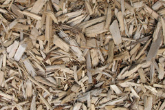 biomass boilers Hundred End